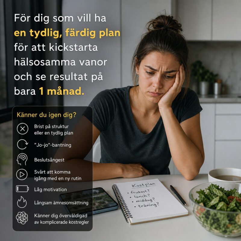 Airfryer 30-Dagars Utmaning : 80 Enkla Recept för Viktbalans och Energi