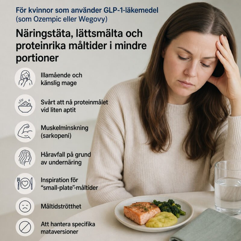 GLP-1 Vänliga Recept i Airfryer : 80 Små Portioner med Stor Näring